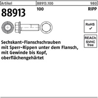 Reyher Sechskantflanschschraube R 88913 Sperr-Ripp VG M6x 10 100
