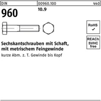 Industrial Quality Supplies DIN 960/ISO 8765 Sechskant-Schaftschraube Feingewinde M20x100