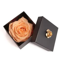 ROSEMARIE SCHULZ Heidelberg Ewige Rose Peachau haltbar 3 Jahre