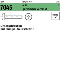 Hörger & Geßler ISO 7045 Form C Linsenkopfschraube VG