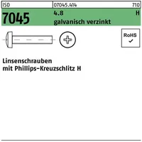 Hörger & Geßler ISO 7045 Form C Linsenkopfschraube VG