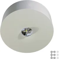 Rp-group RP-Technik LED-Sicherheitsleuchte ILDL423SC