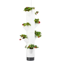 Gusta Garden Sissi STRAWBERRY vertikaler selbstbewässernder Blumentopf 4 Etagen,