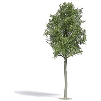 BUSCH 3797 Baum Linde 1 St.