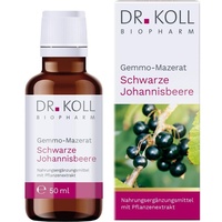 Dr. Koll Biopharm GmbH Gemmo Mazerat schwarze Johannisbeere Dr.Koll