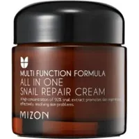 Mizon All in One Snail Repair Cream 75 g