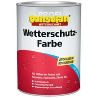 Consolan Wetterschutzfarbe Grün 10 l