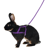 Kerbl Pet 81761 Schultergeschirr Agility mit Leine, 2 m,