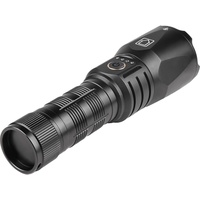 Sandberg Survivor Torch Powerbank 5000 mAh Powerbank (Akku) -
