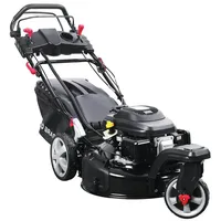 Brast Trike 21224