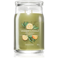 Yankee Candle Sage & Citrus 567 g