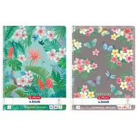 Herlitz Spiralblock A4 Ladylike 80 Blatt liniert Mehrfarbig