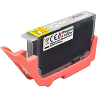 Ampertec Tinte ersetzt Canon PFI-300GY 4200C001 grey