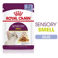 Royal Canin SENSORY Smell in Gelee für wählerische Katzen