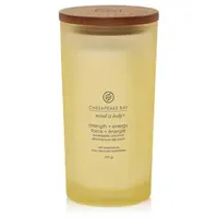 Chesapeake Bay Strength + Energy Duftkerze 355 g