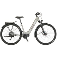 Fischer Terra 4.0i 29 Zoll RH 43cm grau