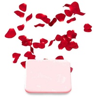 Home Deluxe - Duftplättchen LIMA für Ionisator - Rose