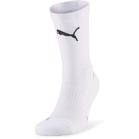 Puma Team Indoor Trainingssocken Herren white 39-42