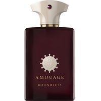 Amouage Odyssey Boundless Eau de Parfum Spray 100 ml
