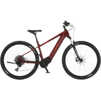 Fischer E-Mountainbike MONTIS 7.0i Elektrofahrrad für Damen und Herren,