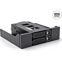DeLock Slim Bay Wechselrahmen für 2 x 2.5? U.2