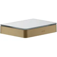 Hansgrohe AXOR Universal Accessories Duschablage, 42840140,