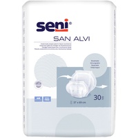 Seni San Alvi