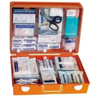 Holthaus Medical Erste-Hilfe-Koffer MULTI DIN 13169
