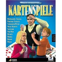 Activision Schmidt Kartenspiele