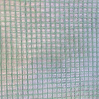 Siena Garden Frühbeet Gitterfolie 3 x 2 m