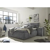 Ed exciting design Boxbett »Avidano«, inkl. zwei Bettkästen grau