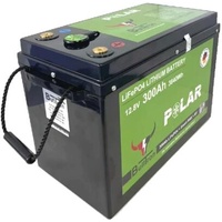 Bulltron LI300B200-12-P