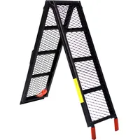 Wiltec Garagenausstattung, Auffahrrampe