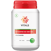 Vitals Vitamin B3 500 mg