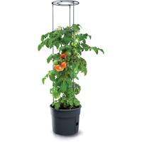 Spetebo Tomaten Pflanztopf rund mit Rankhilfe - 153 x