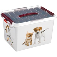 SUNWARE Q-Line Pet Decor Box mit Einsatz, weiß/Bordeaux, Einheitsgröße