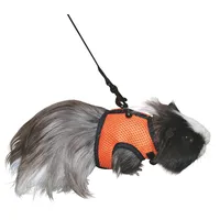 Kerbl SPORT Meerschweinchengeschirr mit flexibler Leine 120cm