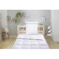 OTTO home Daunenbettdecke + Kopfkissen OTTO HOME "Sorsele, Bettdecke