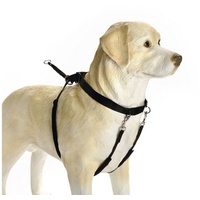 Beeztees 749763 Gentle Walker groß, schwarz