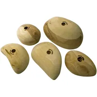 Metolius Wood Grips 5 Pack Klettergriffe (Größe One Size)