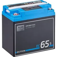 Ective AGM Deep Cycle mit LCD-Anzeige 65Ah Versorgungsbatterie