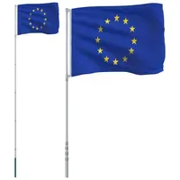 VidaXL Europaflagge mit Mast 5,55 m Aluminium