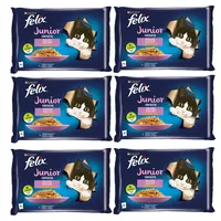 FELIX Fantastic Adult Lachs und Rindfleischgelee 4x85g (Rabatt für