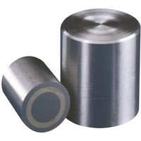 Industrial Quality Supplies Beloh Magnetstabgreifer D.8xH.12mm glatt Haftkraft 4N