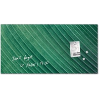 Sigel Glas-Magnettafel artverum® 91,0 x 46,0 cm Design Palm
