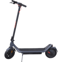 Denver SEL-10860 DONAR Pro Elektro-Roller