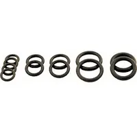 WOLF-Garten Wolf O-Ring-Set Hydraulikgruppe für CGG