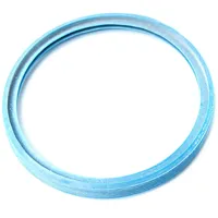 Remeha Dichtelement Dn80, Blau