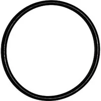 WOLF-Garten Wolf O-Ring 54 x 3 EPDM für COB