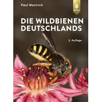 Ulmer Eugen Verlag Die Wildbienen Deutschlands